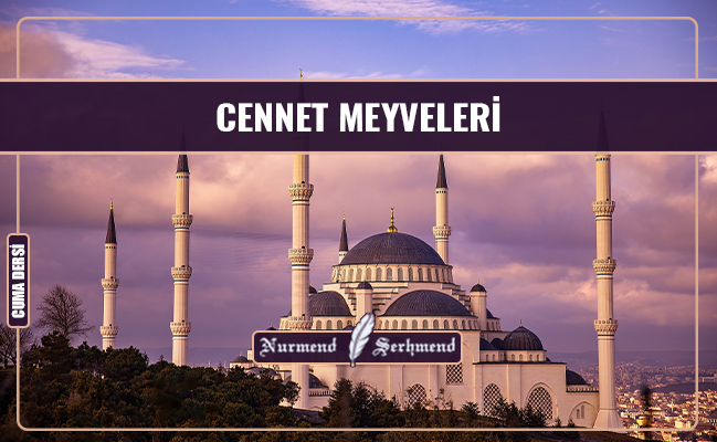 CENNET MEYVELERİ