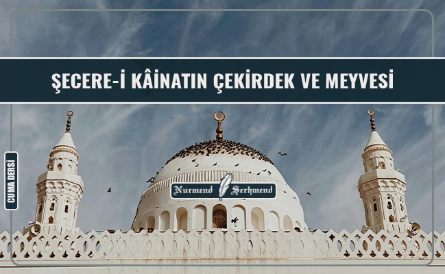 ŞECERE-İ KÂİNATIN ÇEKİRDEK VE MEYVESİ